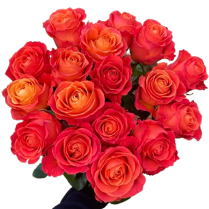 Kytica oranžových ruží Joy