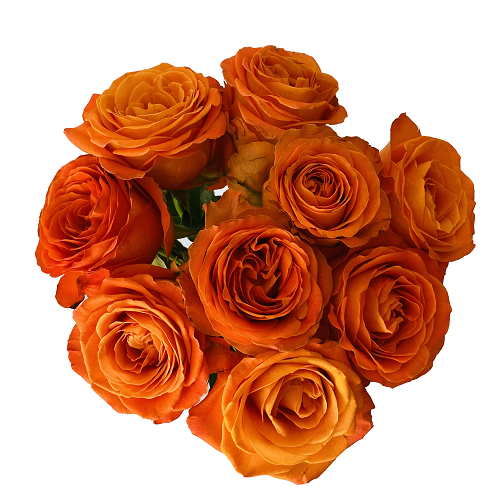 Kytica oranžových ruží Joy
