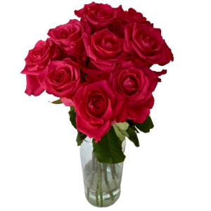 Kytica cyklaménových ruží Magenta