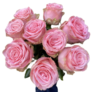 Kytica ružových ruží Sophia