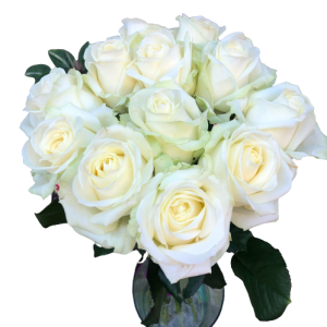 Kytica bielych ruží Avalanche