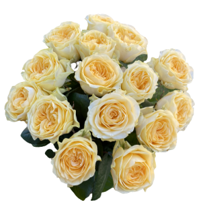 Kytica žltých ruží Creamy