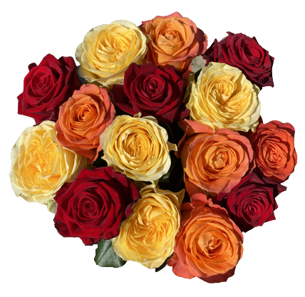 Kytica ruží jesenných farieb Fall