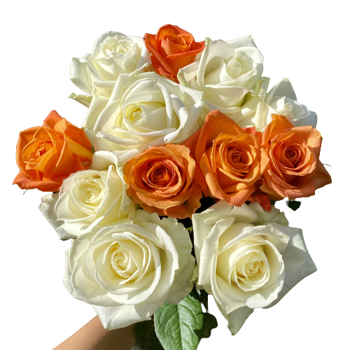Bielo-oranžová kytica ruží Hope