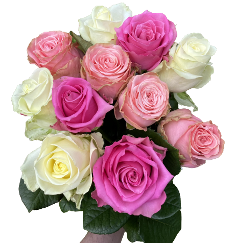 Kytica bielych a ružových ruží Pinky