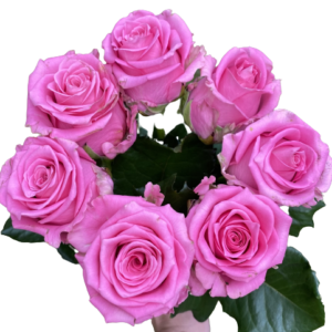 Ružová kytica Charlotte