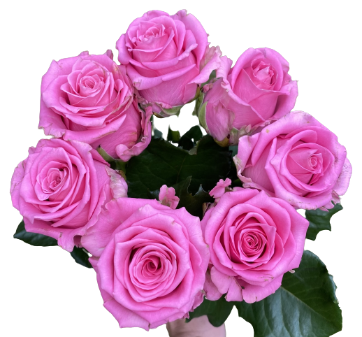 Ružová kytica Charlotte
