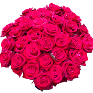 Kytica červených ruží Amore33