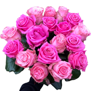 Kytica rôznych ružových ruží Pinky